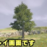 ”ひたすら木を眺める”だけの狂気的な新作ゲーム「Tree Simulator 2021」