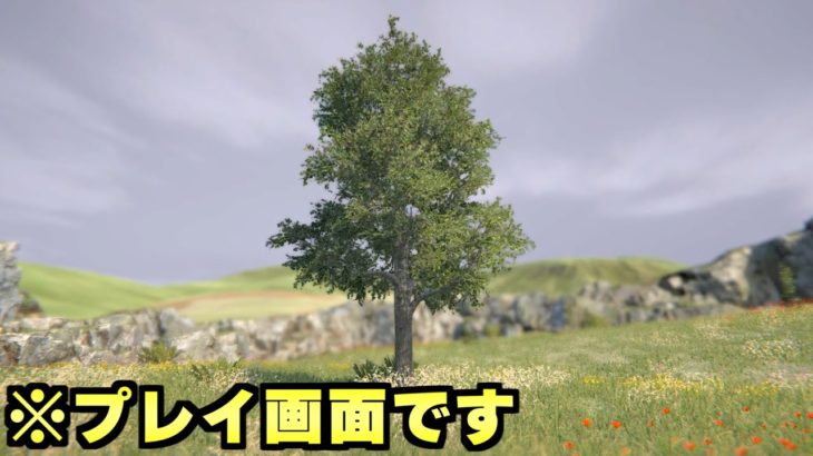 ”ひたすら木を眺める”だけの狂気的な新作ゲーム「Tree Simulator 2021」