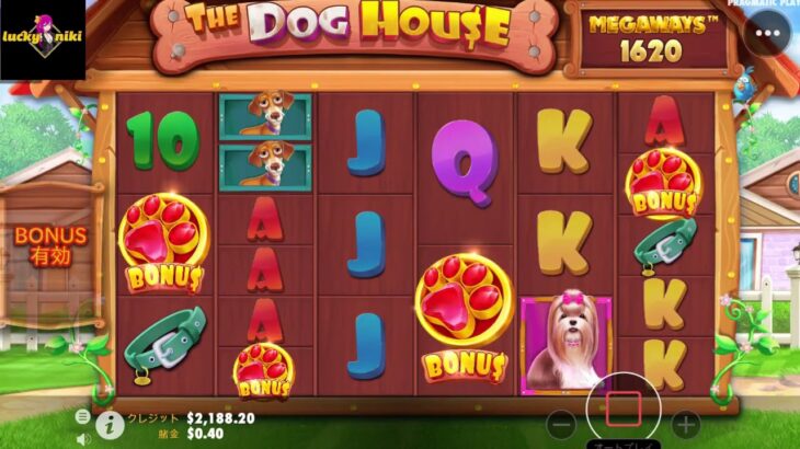 ラッキーニッキー THE DOG HOUSE 高配当 スロット オンラインカジノ