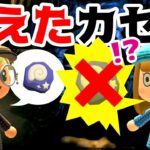 【ゲーム遊び】カセキが消えた事件!?アナケナとカルちゃんのあつもり探偵が謎を解く！ あつまれ どうぶつの森【アナケナ&カルちゃん】あつ森 Animal Crossing: New Horizons