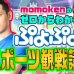 【解説動画4】「momokenのゼロからわかるぷよぷよeスポーツ観戦講座vol.4」