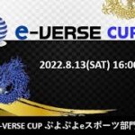 第2回 e-VERSE CUP ぷよぷよeスポーツ部門