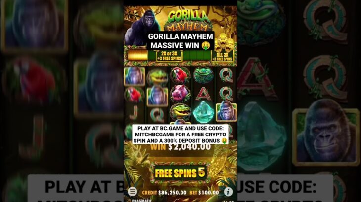 Gorilla Mayhem Bonus Feature Massive Win 🤑 – Online Casino Slots #casinoonline #slots #casino #win